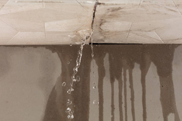 Professional Structural Drying technician working in Fayetteville, WV